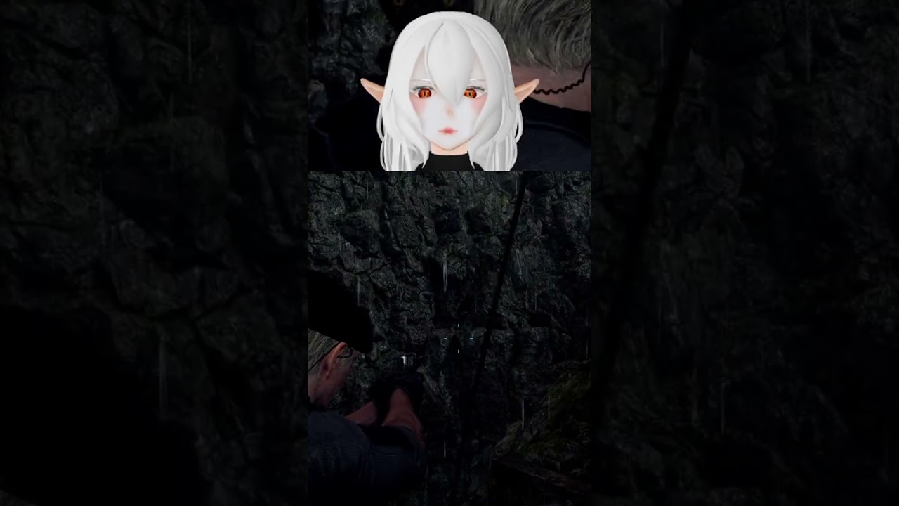 Dog thinks it can fly | 