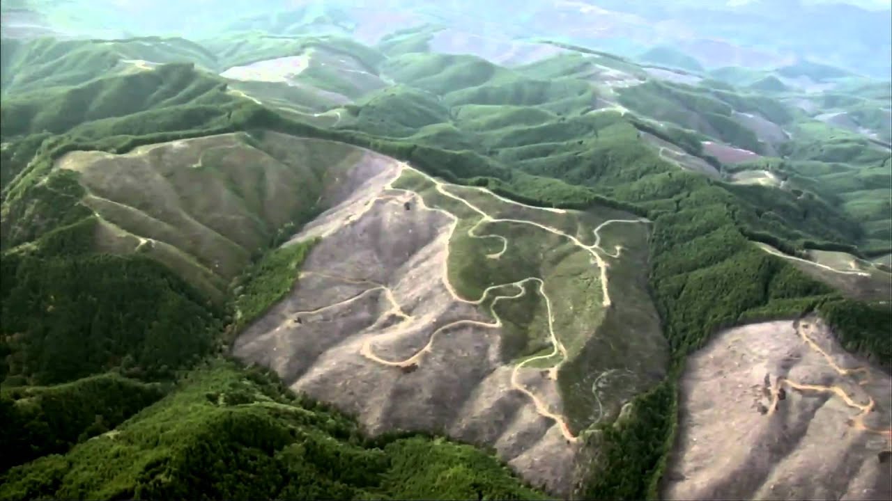 Film Chronicles Rise and Fall of Eco-Terrorist Cell