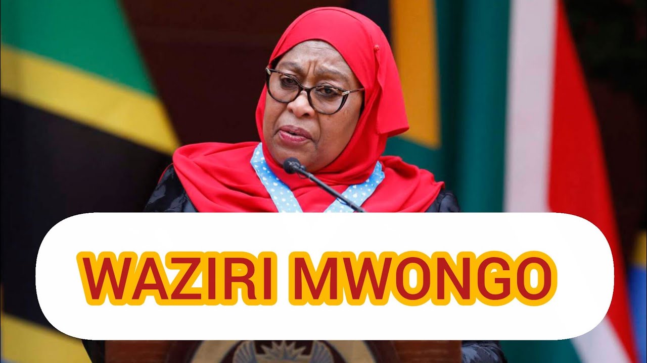 Waziri Mwongo Wa Samia Apata Shambulio Kali Usituone Wajinga 