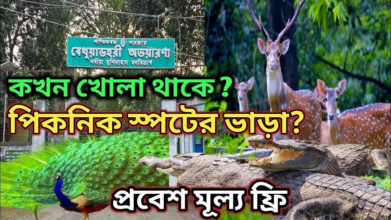 Bethuadahari Wildlife Sanctuary || Bethuadahari Forest Nadia || Bethuadahari Forest Picnic Spot ||