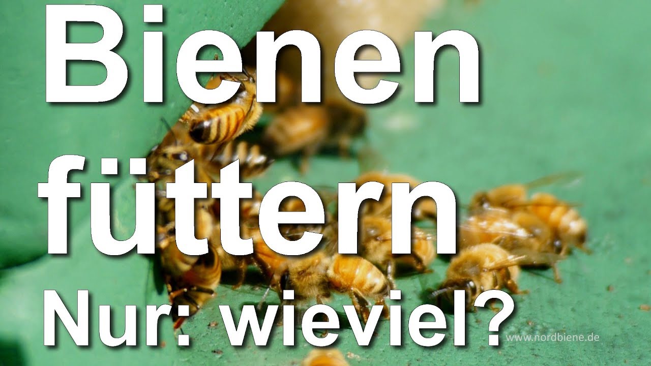 Bienen auff&uuml;ttern - aber wie viel? Winterf&uuml;tterung - Gewichte der Beuten und Wiegen der V&ouml;lker
