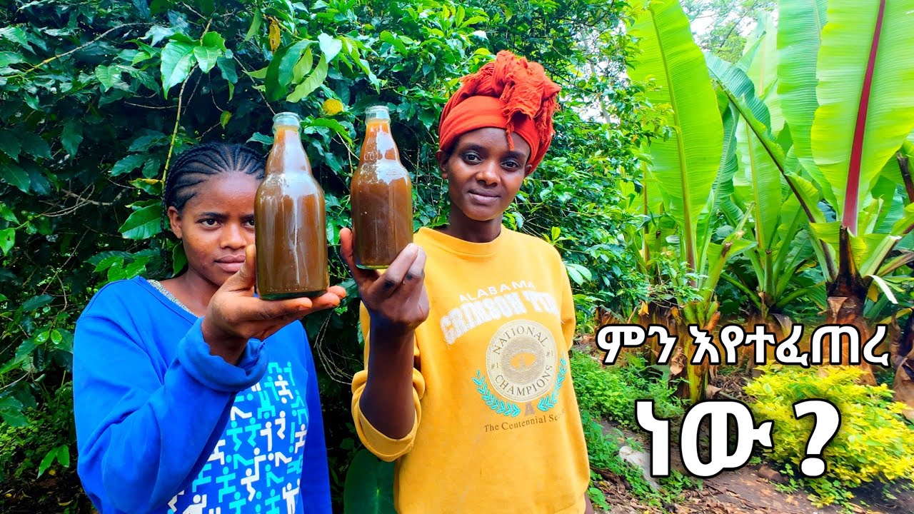 እዚህ የገጠር መንደር ውስጥ ምን አይነት ነገር አየጠጡ ነው ለብዙ በሽታዎች መድሀኒት የሆነ/የምግብ አሰራር migib aserar ethiopia food