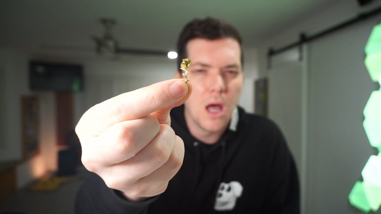 I bought a $5 8th of weed..