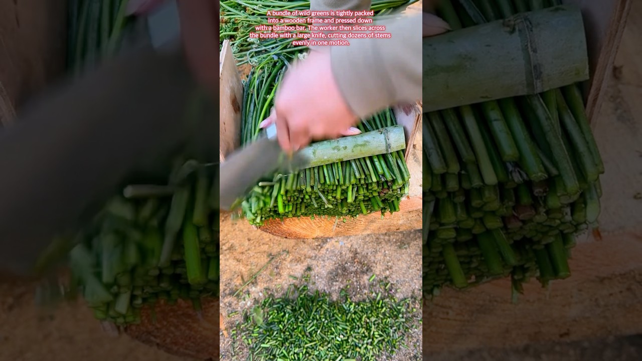 This Simple Trick Saves Hours of Work #asmr #agriculture #harvest