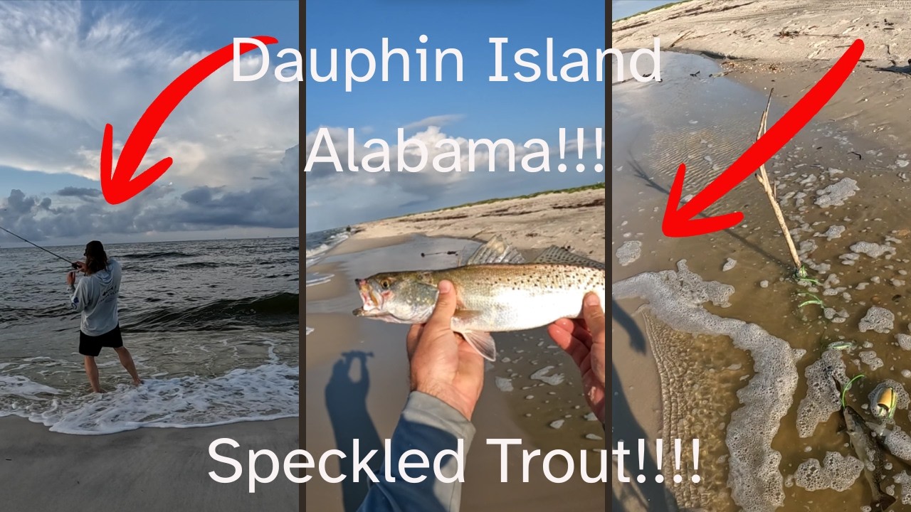 Speckled Trout from the Beach!!! Topwater Action!! Dauphin Island, Alabama