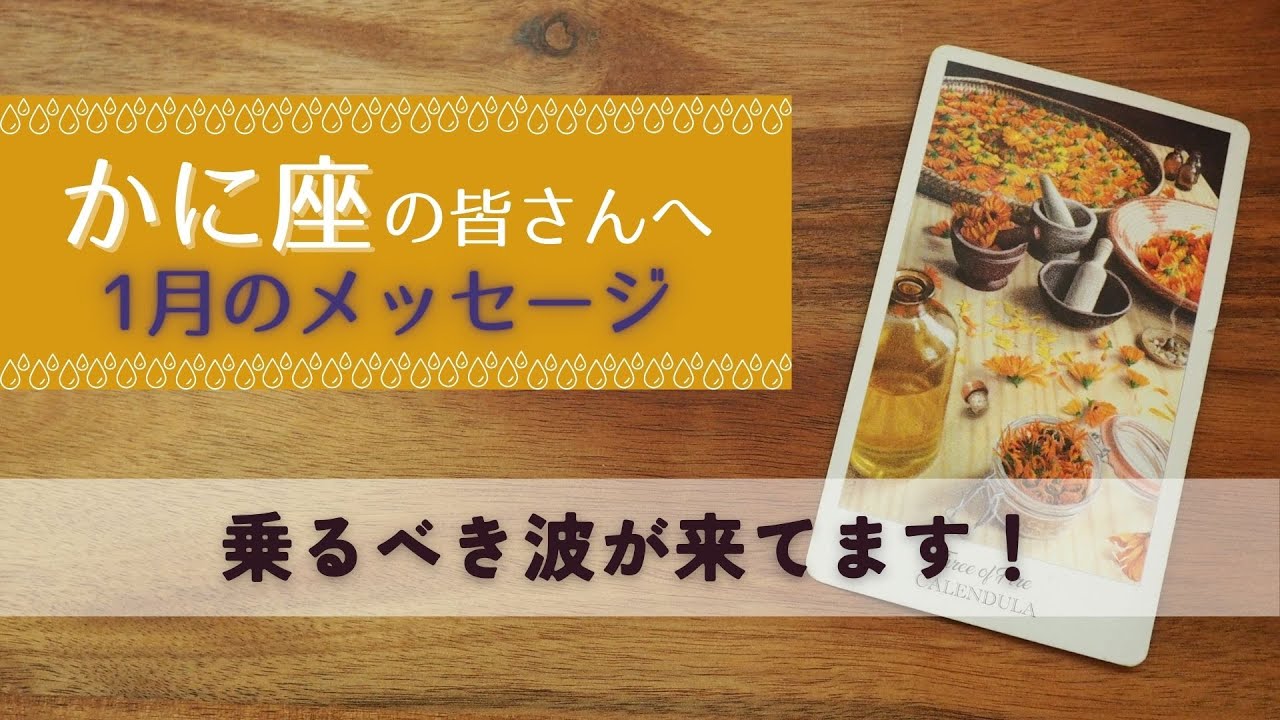 【かに座♋️：1月】すごく良い流れ！変化の波に乗っていきましょう🌿全体運🌿仕事運・恋愛＆人間関係🌿