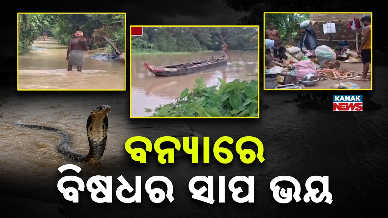 Kendrapara Flood News | Snake Bite Death Sparks Fear Amid Odisha Floods