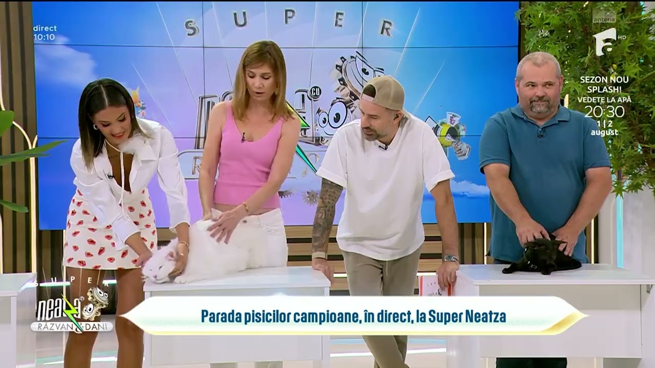 😻 Cele mai frumoase rase de pisici, la Neatza!