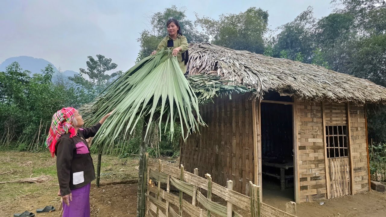 The poor old woman and the homeless girl. One day they rebuilt their kitchen of love.