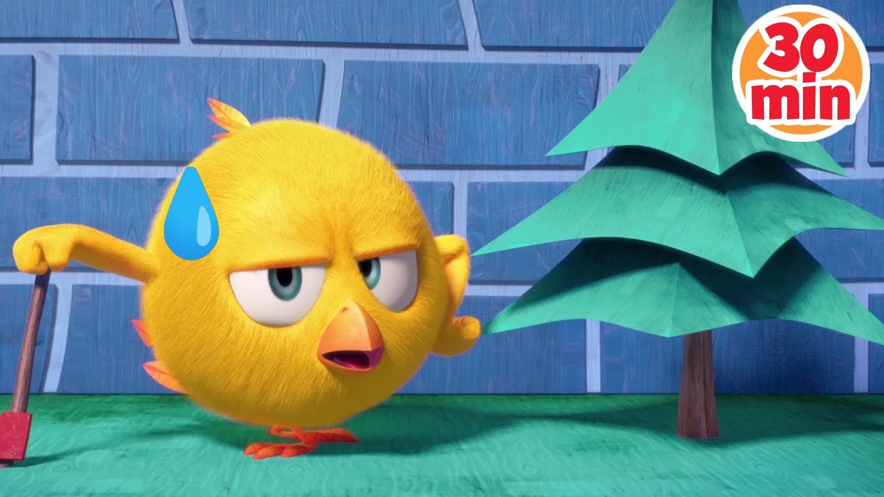 El pino de Navidad | &iquest;D&oacute;nde est&aacute; Chicky? | Dibujos Animados para Ni&ntilde;os