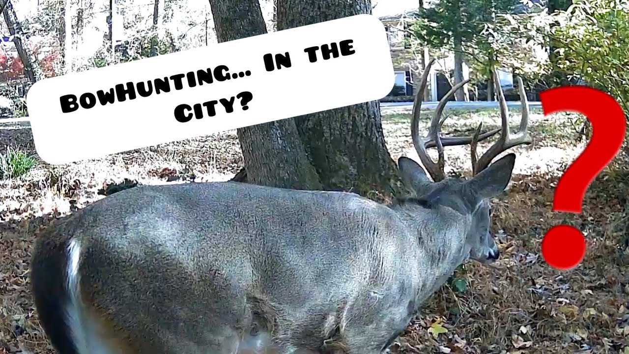 BowHunting in my Neighborhood… With Houses all Around!
