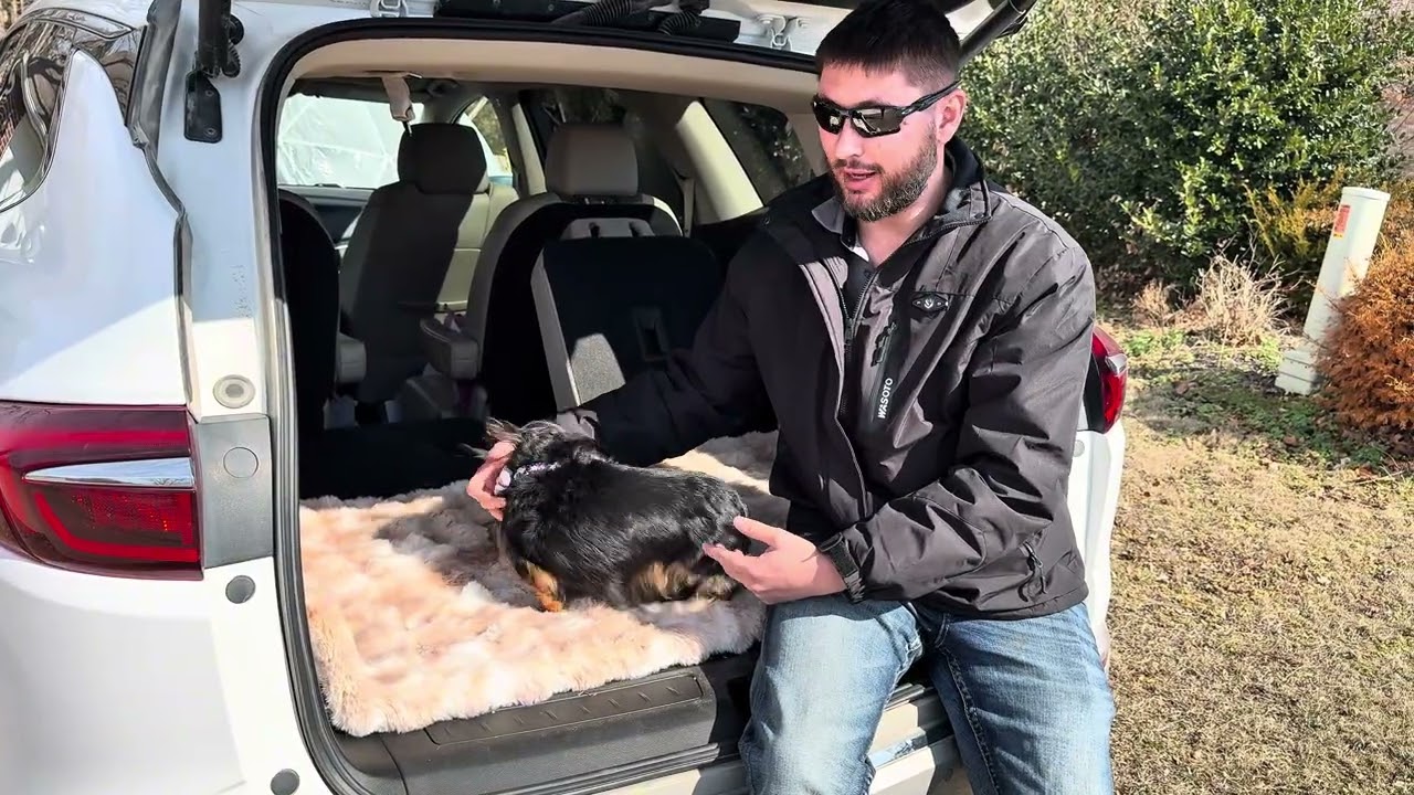 HOTYPXQ Dog Bed for Car Back Seat