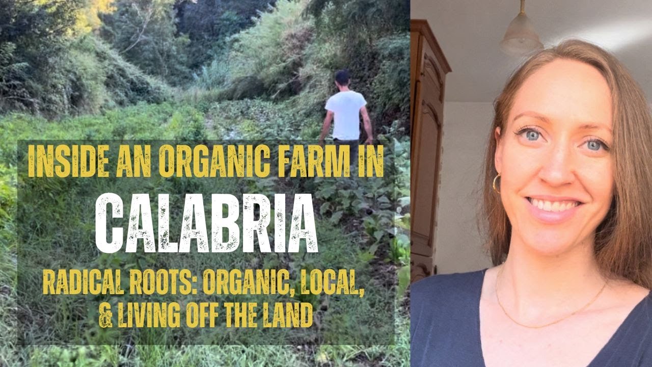 Inside a Calabrian Organic Farm | Azienda Agricola Biologica In Calabria