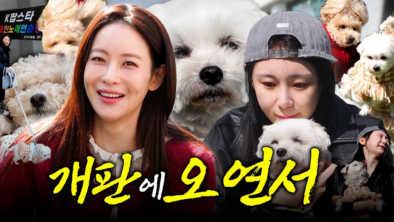 EN)죄송해요 연서언니 그리고 콧물아 | 방방채 EP.14