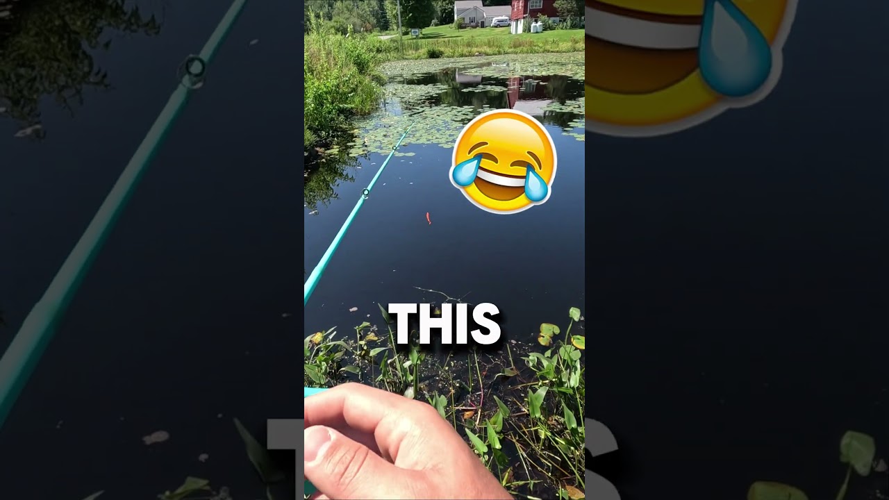 $1 FISHING SET FROM TEMU?! (Honest Review)