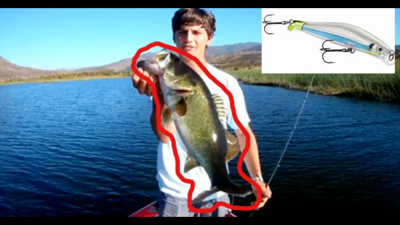 Fall Jerkbait Fishing for Aggressive Bass - Otay Reservoir  SD