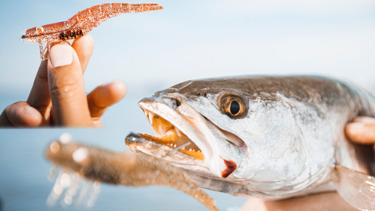 How To Fish With Artificial Shrimp!