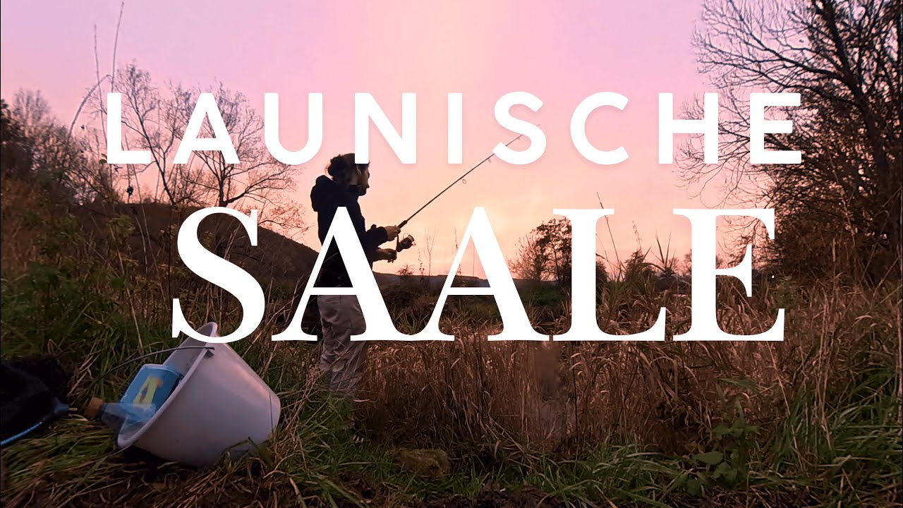 Tja, das gehört auch zum Angeln🎣 – Ein Tag an der Fränkischen Saale🏞️