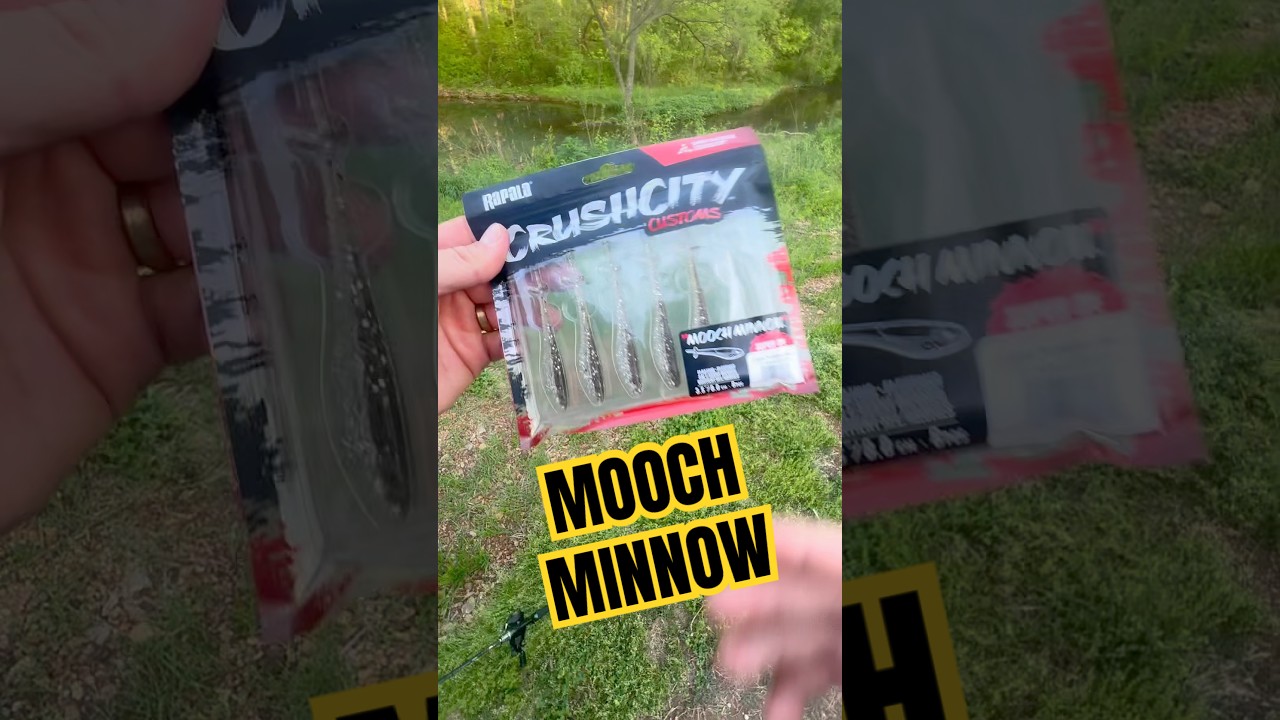 You don&rsquo;t need livescope to catch them on the mooch minnow. #fishing #shorts