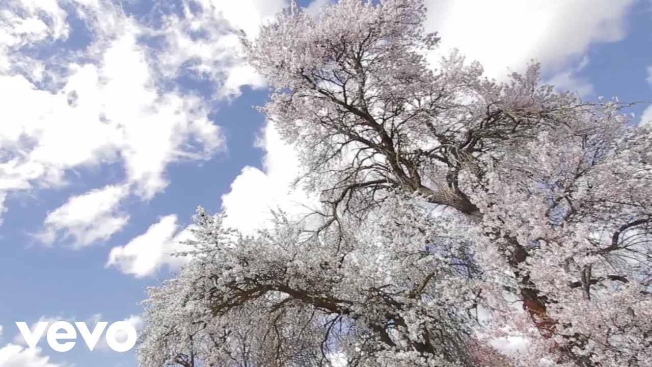 Adrian Roditis - Outside