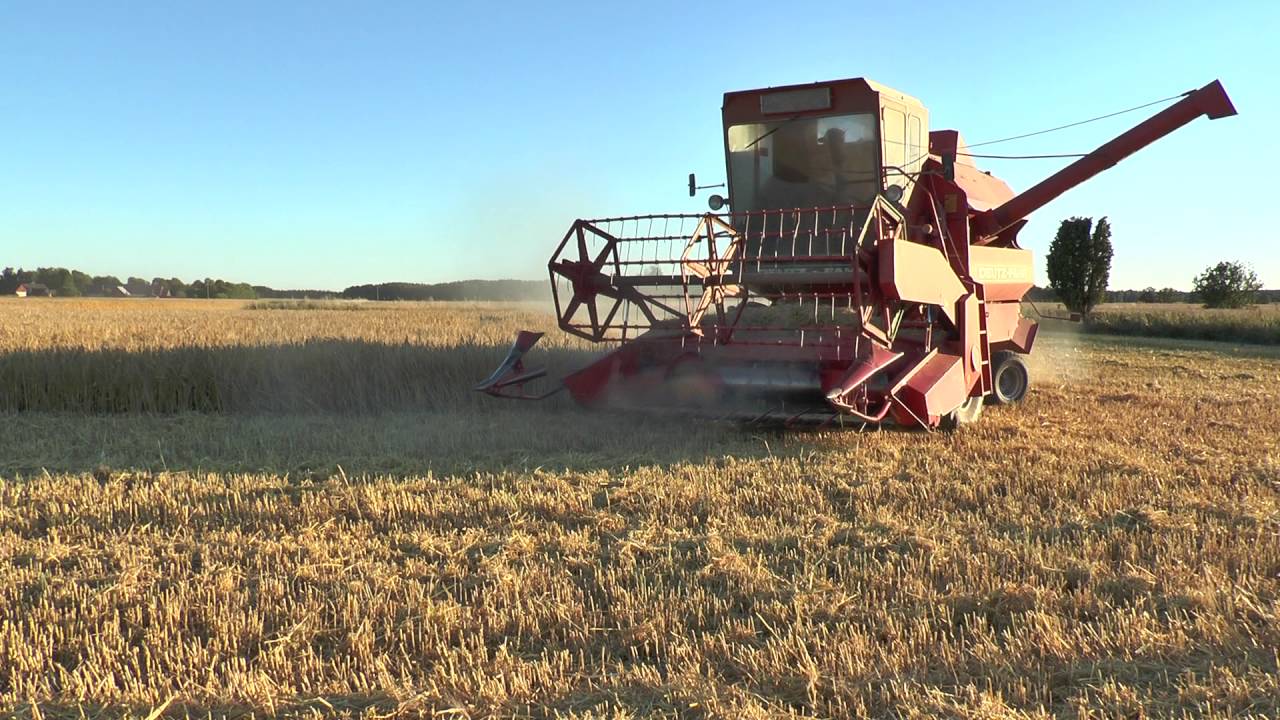 Harvesting 2016  With Deutz Fahr M 980 of Barley in Endre July 2016