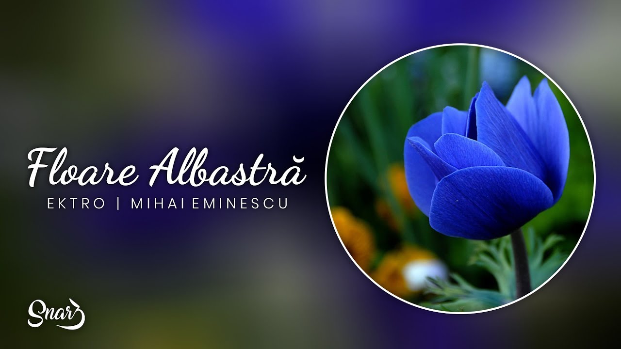 Ektro - Floare Albastră [versuri Mihai Eminescu]
