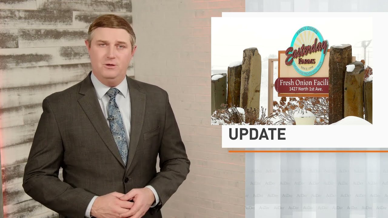 Drovers [February 23 Update]