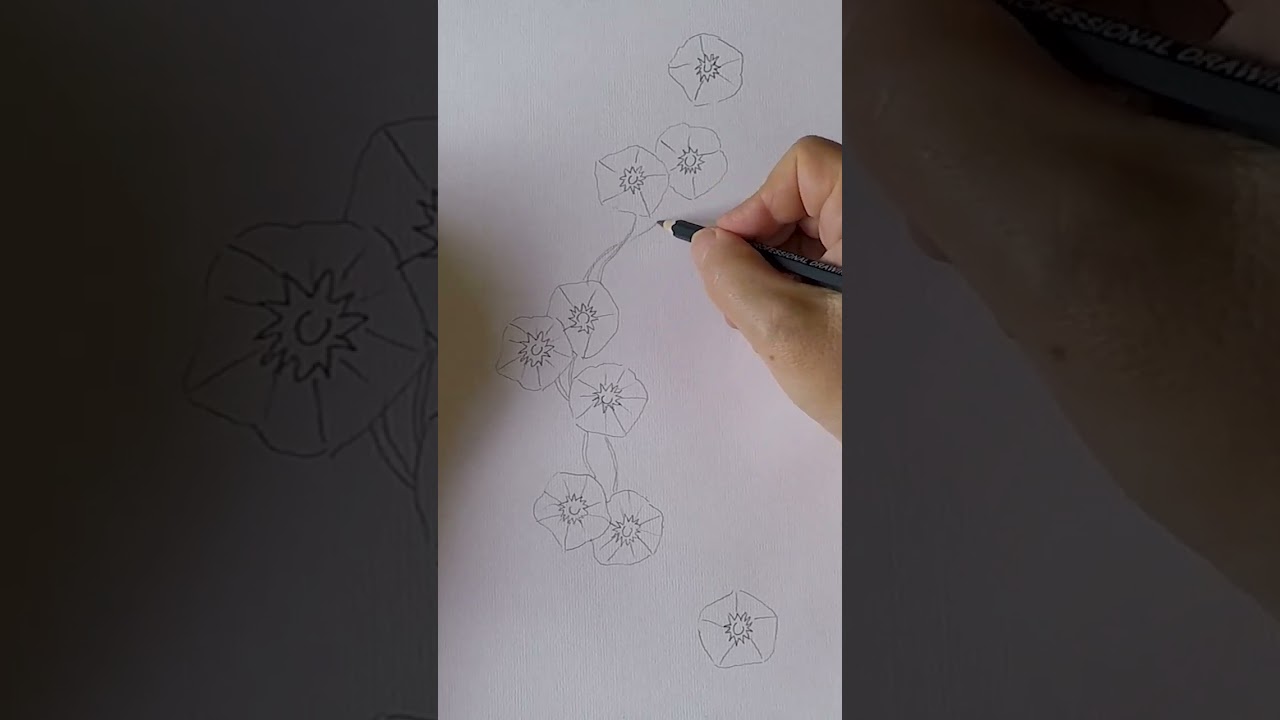 DaisyPainting Disegnare una composizione di campanule.