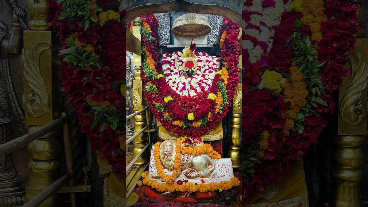 divya tera darbar maiya divya tera darbar vindhyachal status 🙏🚩🙏🚩#reels #song #vindhyawasini #yt