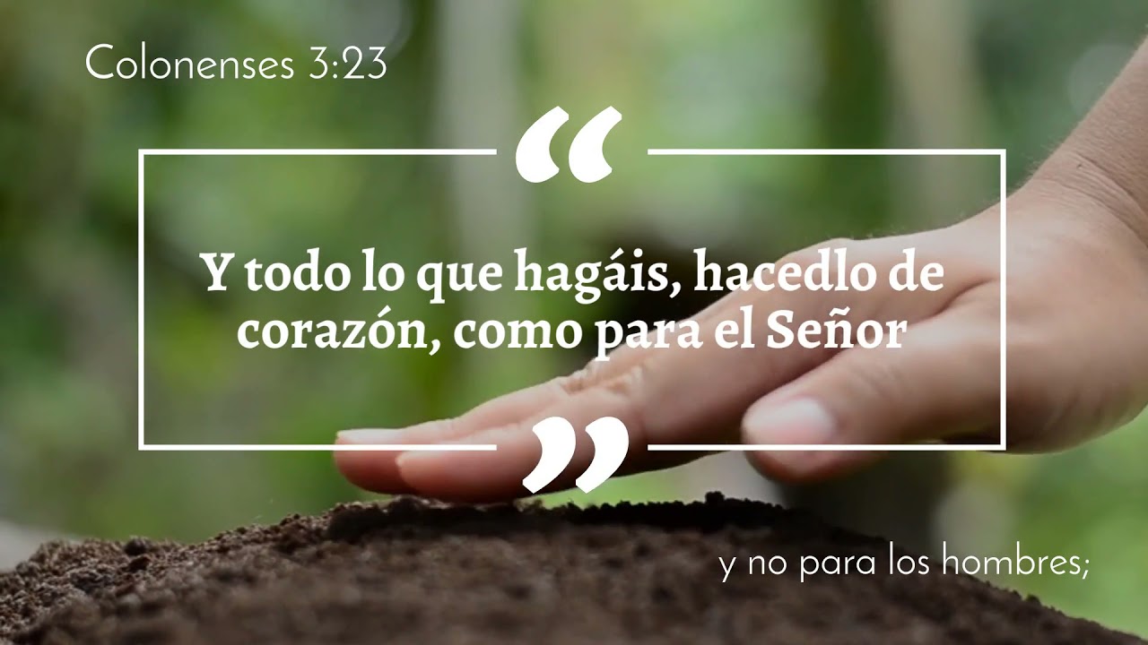 Y todo lo que hag&aacute;is, hacedlo de coraz&oacute;n, como para el Se&ntilde;or