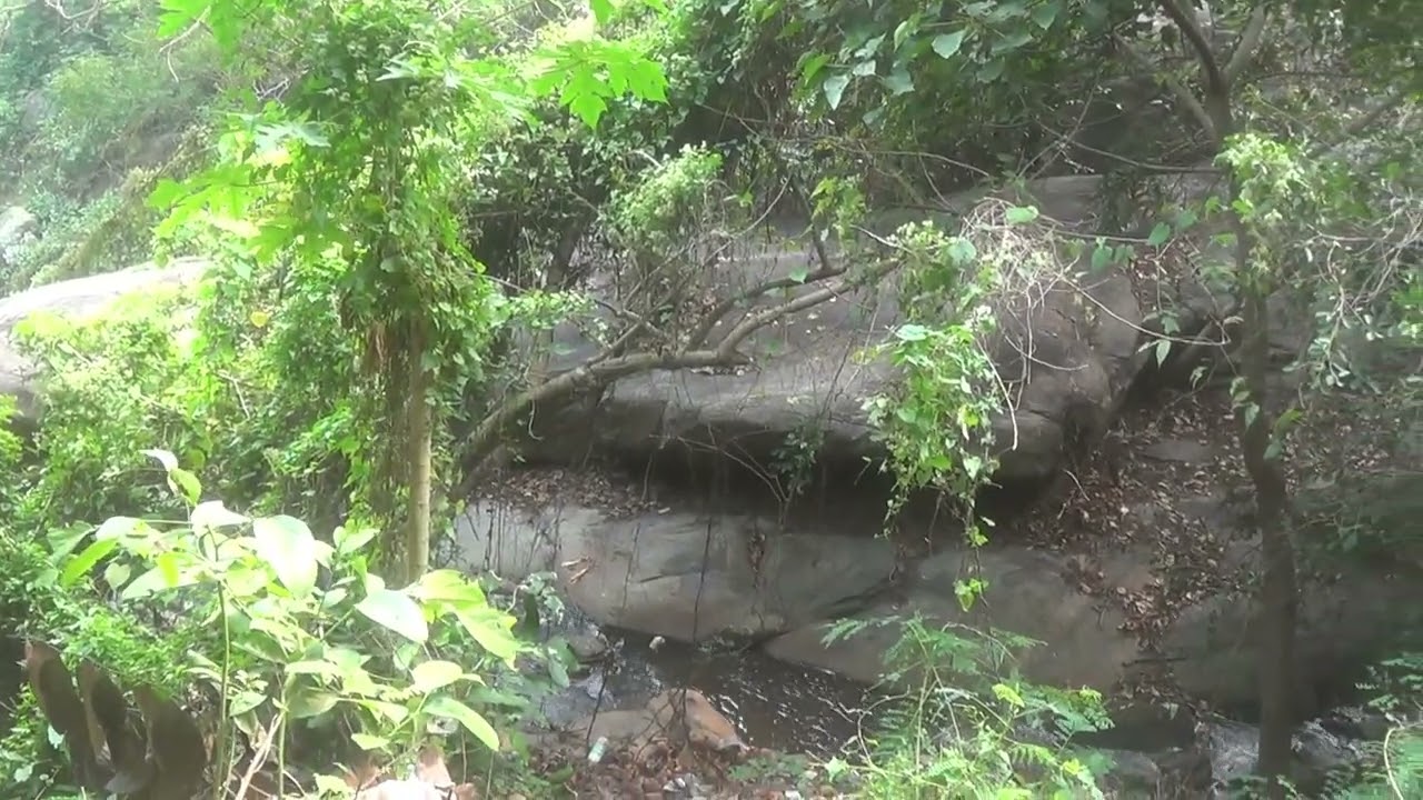 Paye Paye PANCHALINGESWAR || Shiva Temple In ODISHA || BANANIr RANNAGHORe