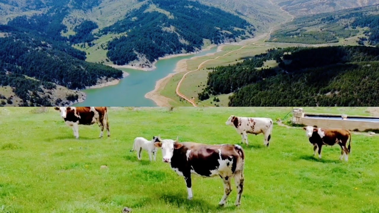 Davras Yaylası