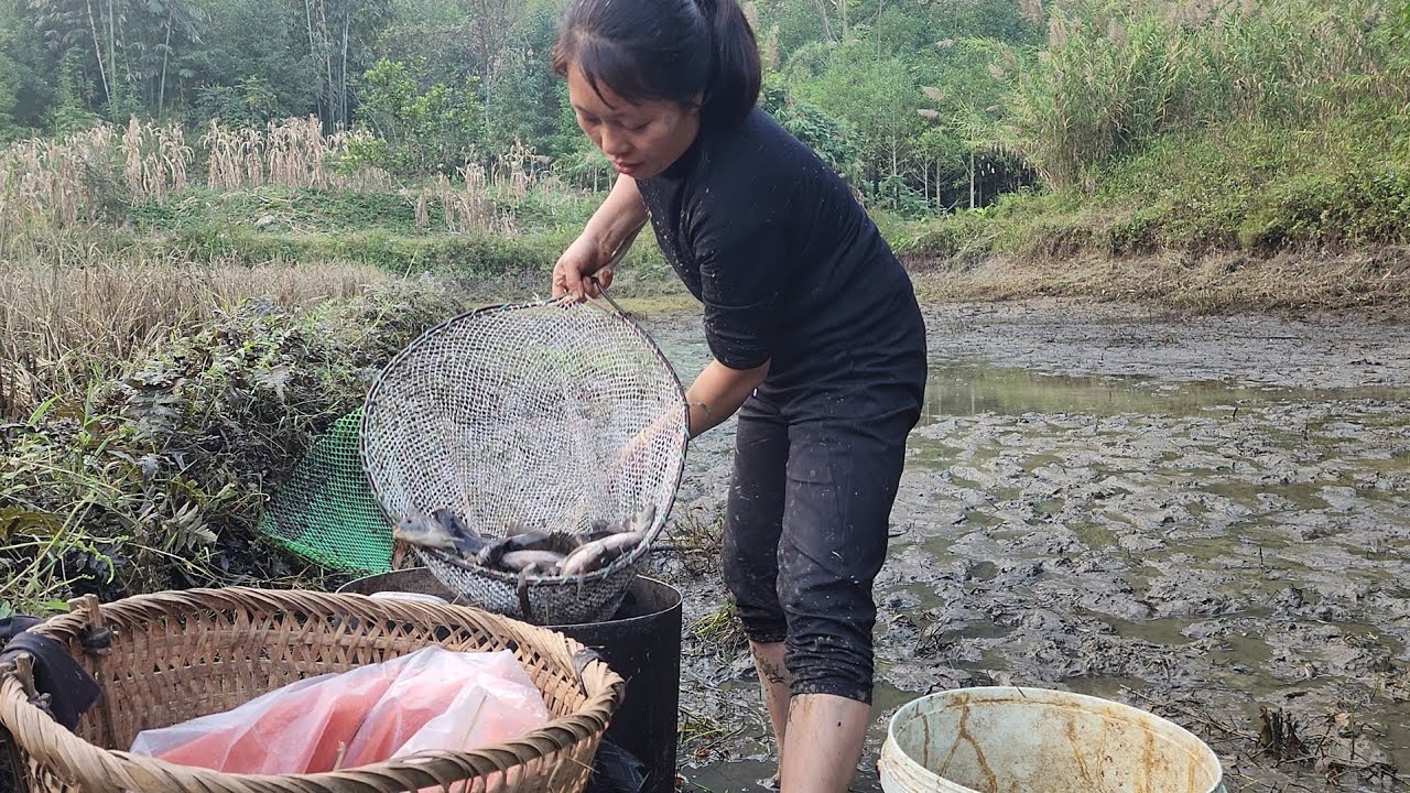 Catching fish from the pond and selling them by the roadside, just before dusk.