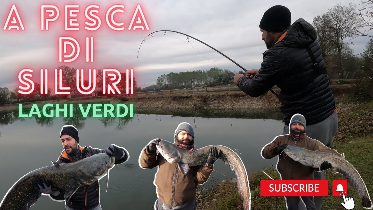 A PESCA DI SILURI - LAGHI VERDI