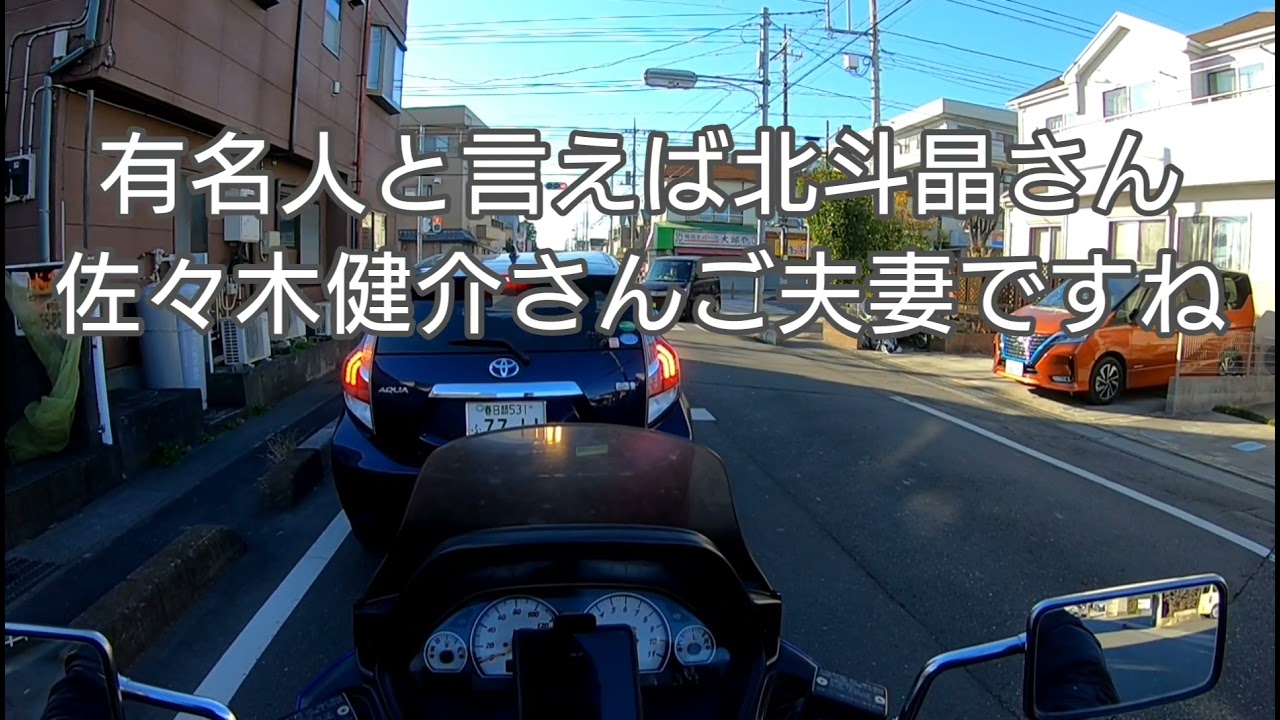 ナマズの里 埼玉県吉川市を走って紹介