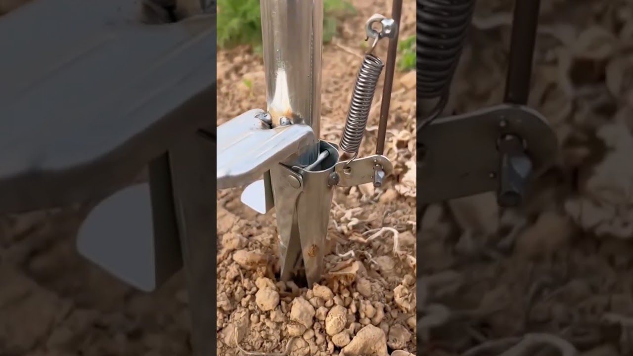Practical farming tools for planting corn #farming #agriculture #shorts