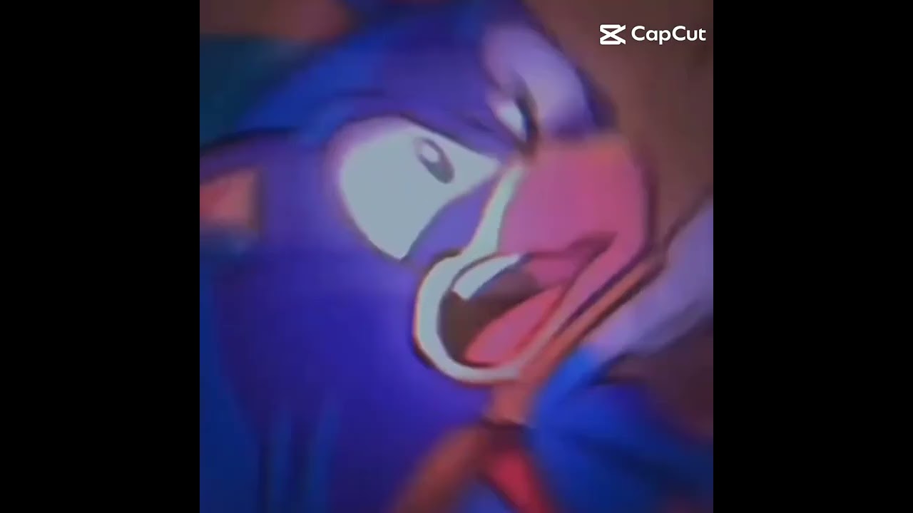 @sonic the hedhog