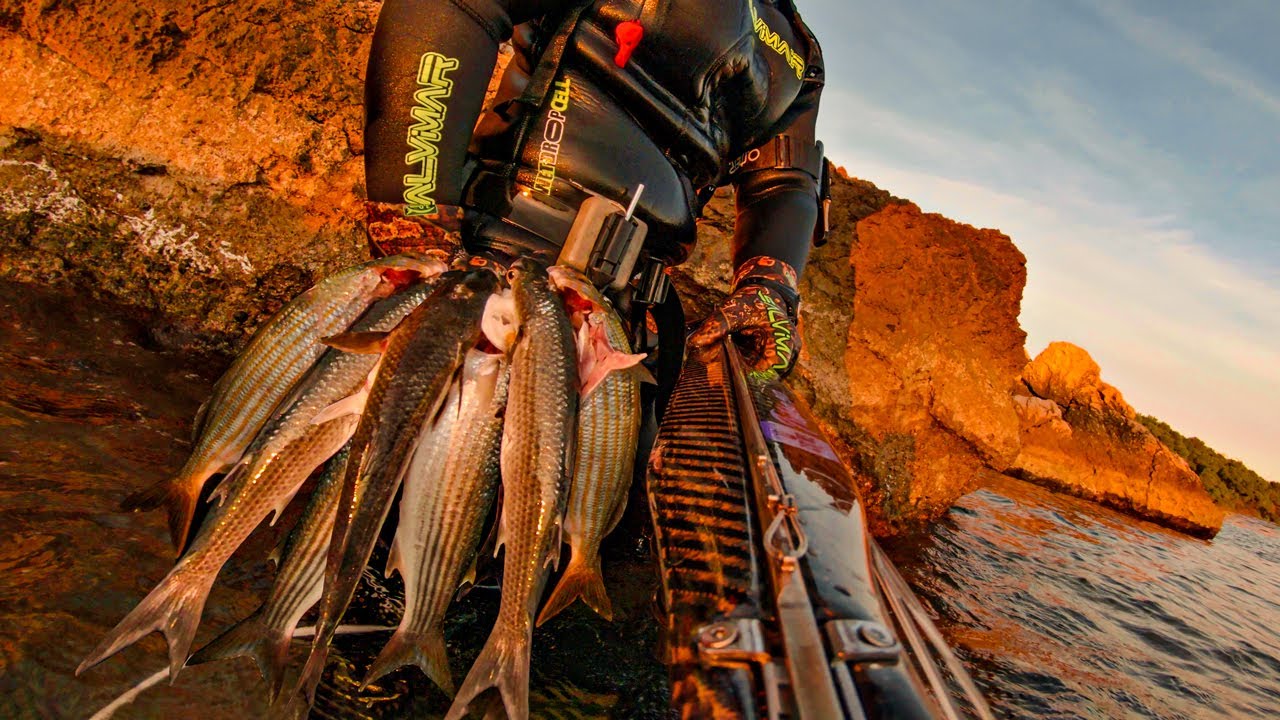 Spearfishing Croatia vs Dinner Catch & Cook November 2024 4K 🇭🇷