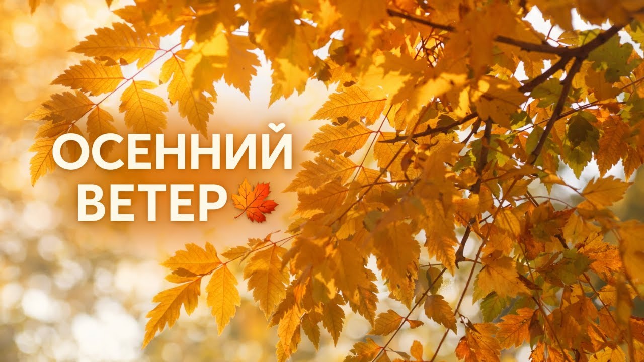 ОСЕННИЙ ВЕТЕР — Глубокая музыка для покоя, тепла и расслабления 🍂