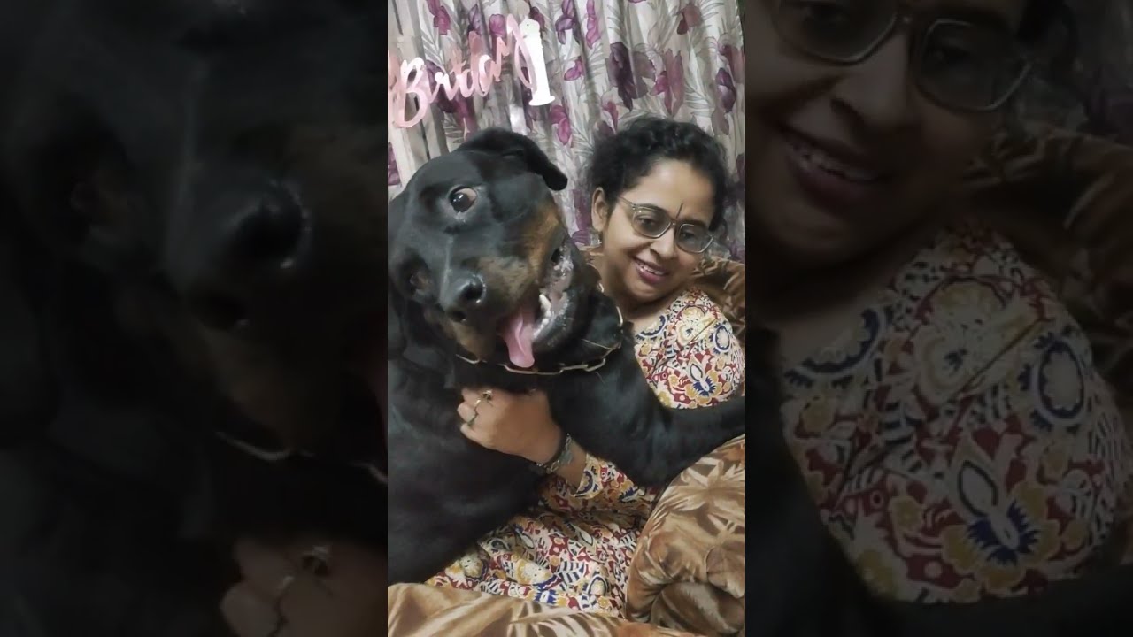 DOGS LOVE ❤️ IS A PURE THING//THEY GIVES US A TRUST WHICH IS TOTAL 💞