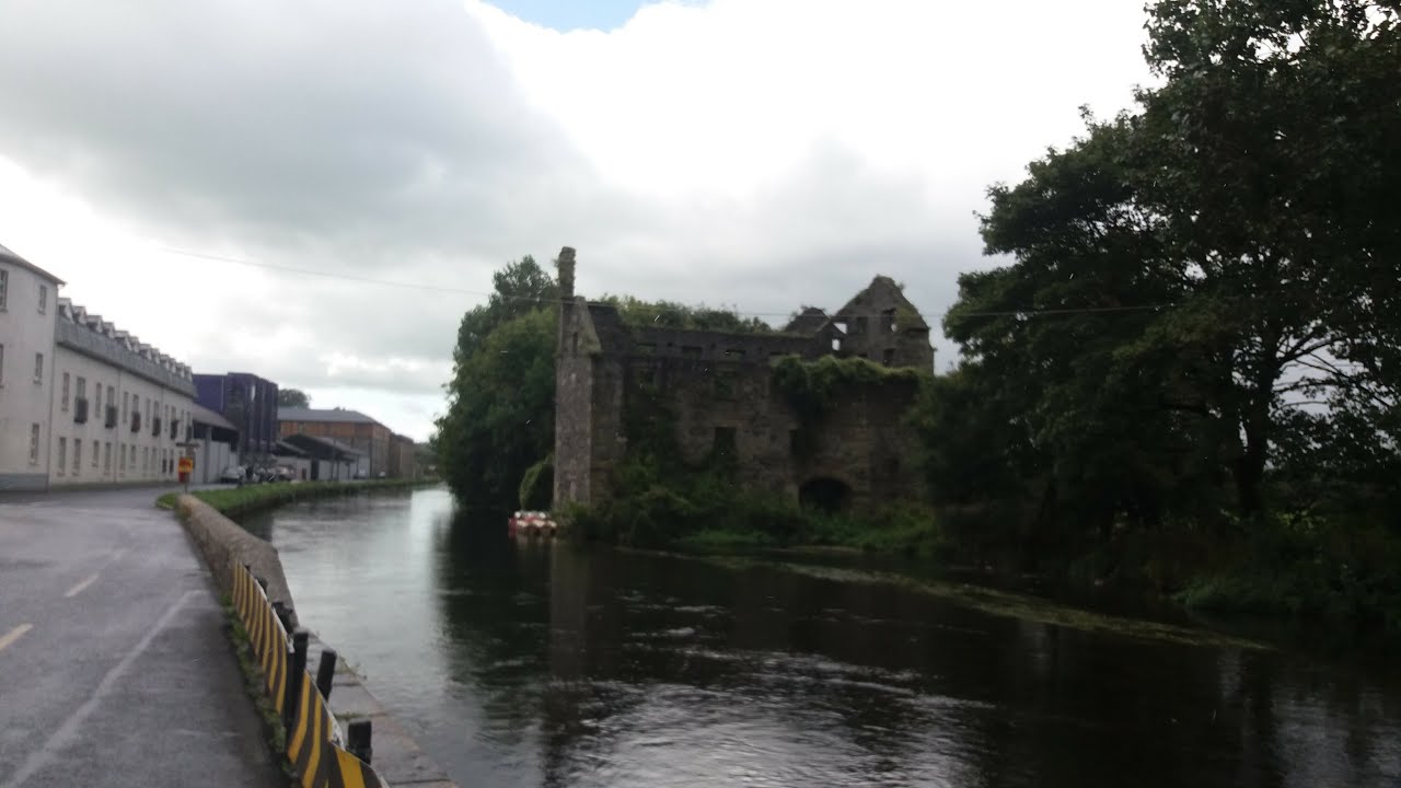 A visit to Muine Bheag (Bagenalstown) in 2017