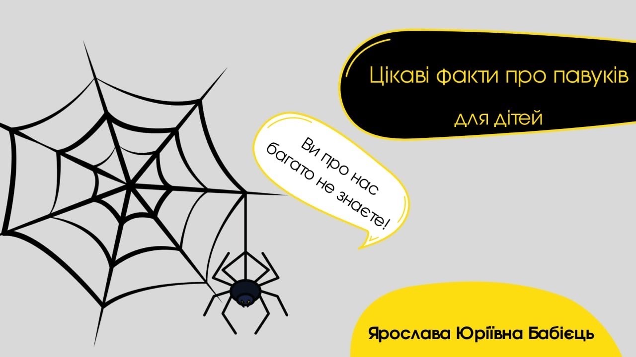 Цікаві факти про павуків🕷🕷🕷