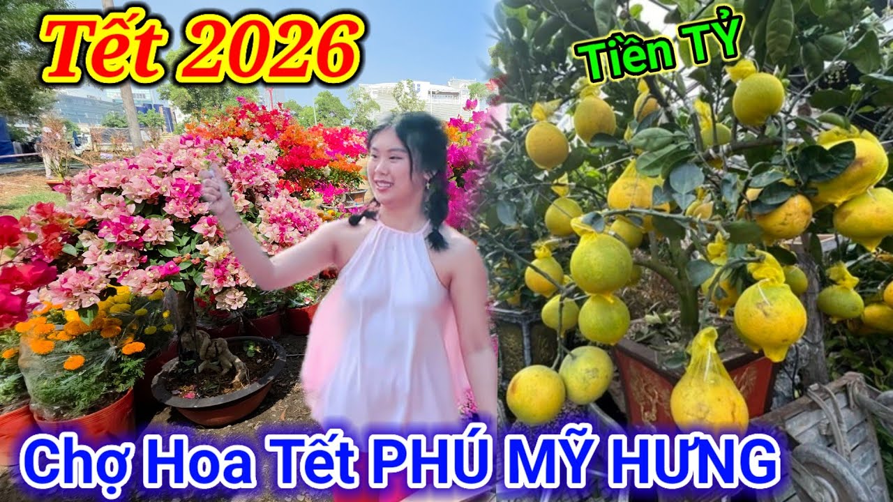 Khám phá Chợ Hoa Tết phố nhà giàu Phú Mỹ Hưng Xuân Bính Ngọ 2026 phát hiện giống Mai lạ 