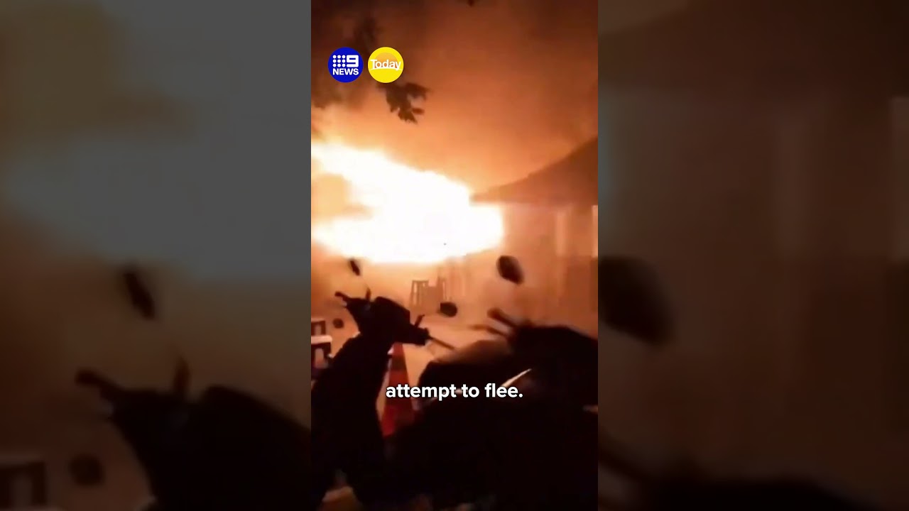 BREAKING: Bangkok pub fire kills dozens | 9 News Australia