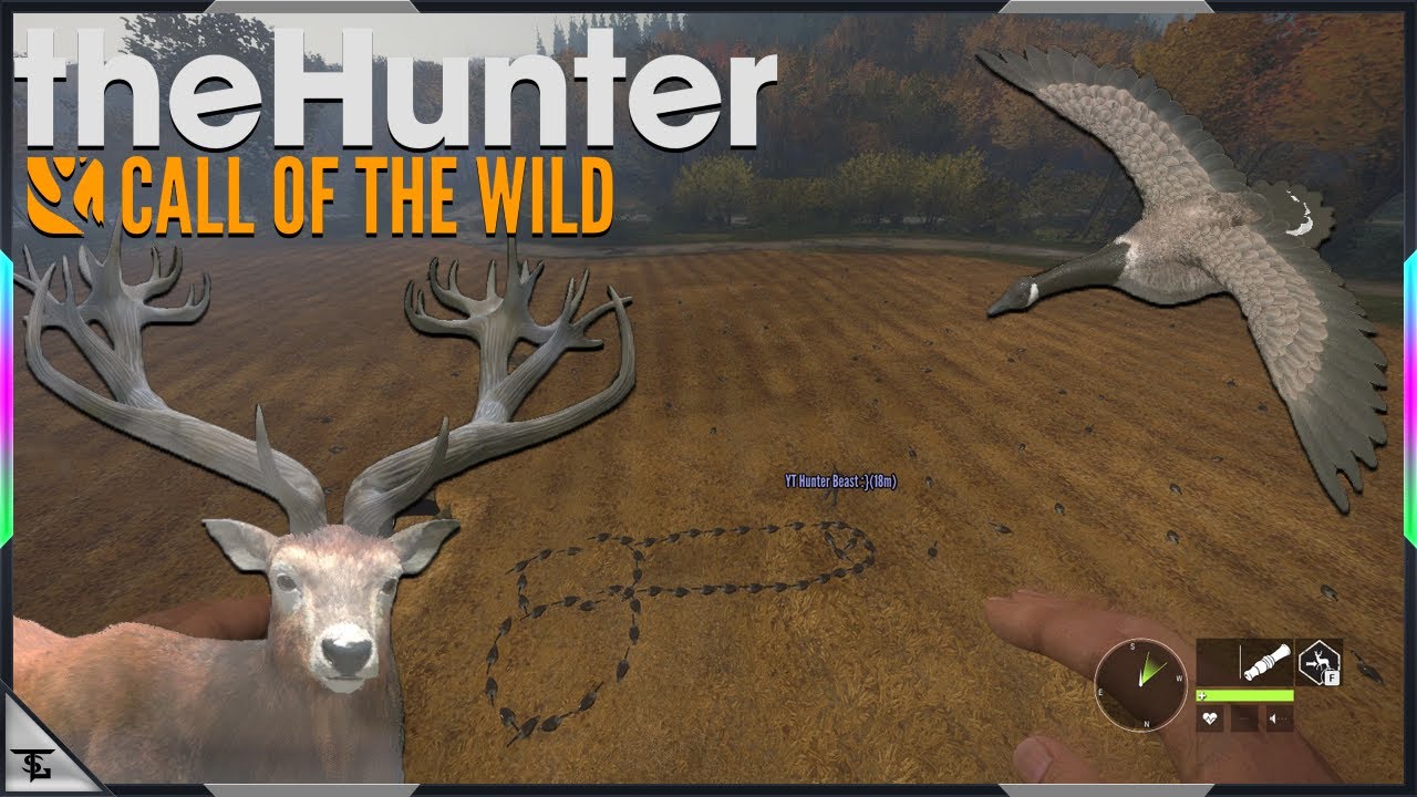 Call Of The Wild Highlights And Funny moments Ep.88
