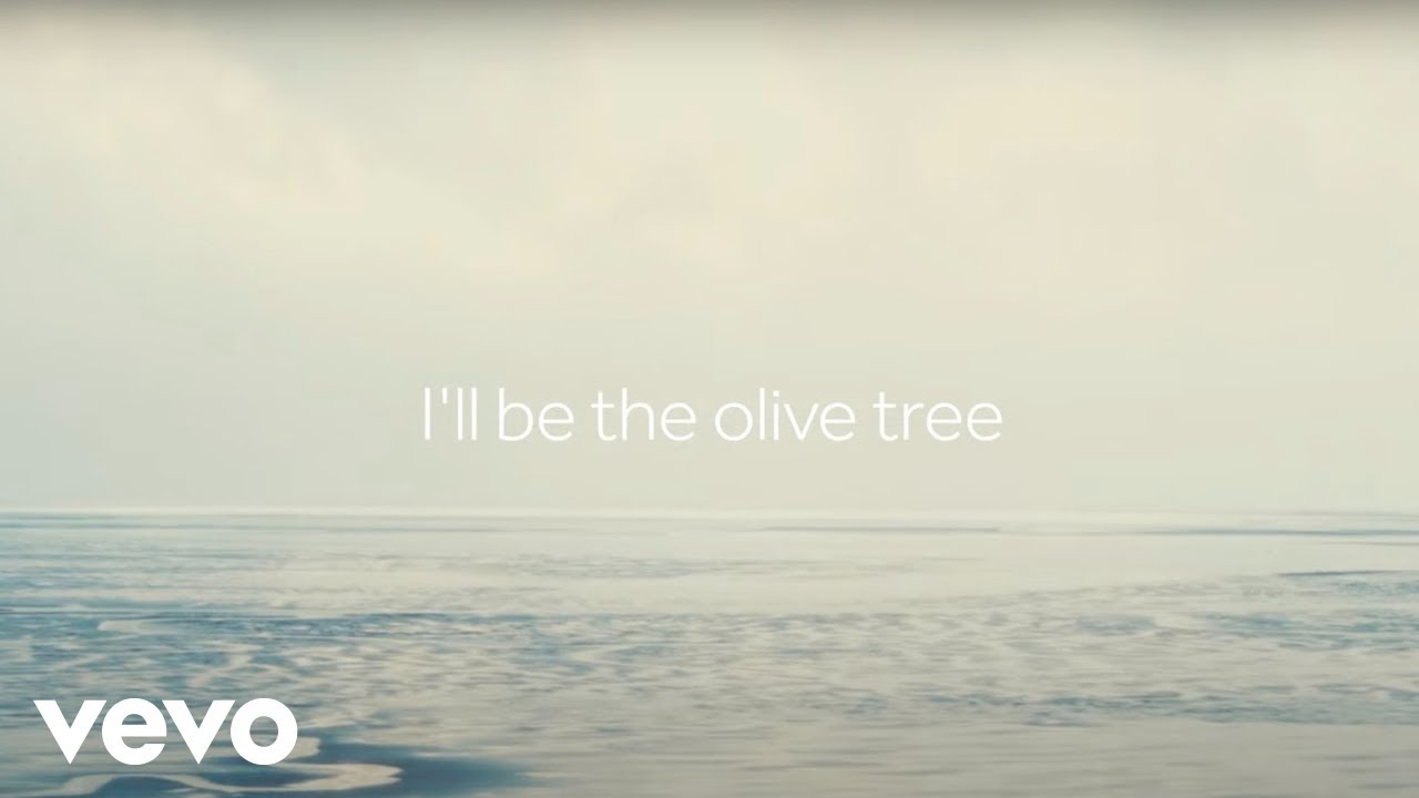 Quinn XCII - Olive Tree (Official Lyric Video)