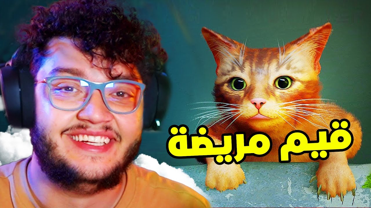 صرت بسة ليوم كامل 🤣 STRAY