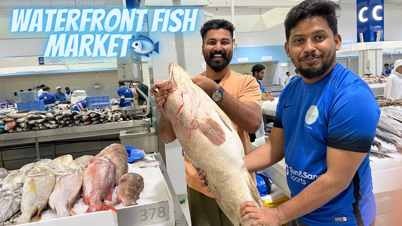Dubai waterfront market | Fish market🐟| Rosh vlogs | Biggest market | #waterfrontmarket #roshvlogs