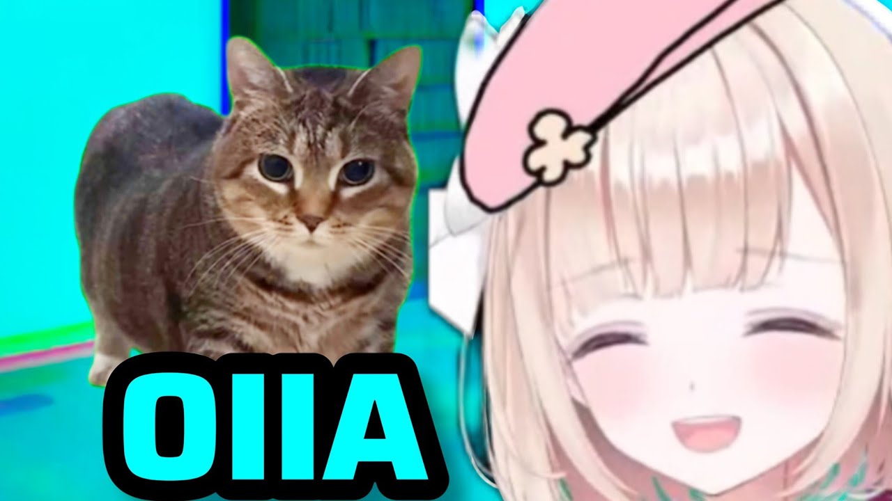 OIIA Cat Make Peo Lose It♥️