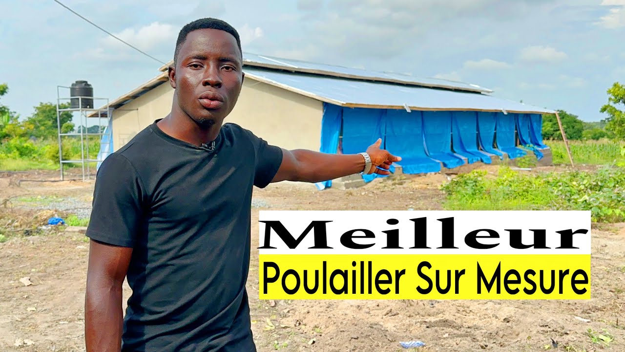 Le Poulailler Sur Mesure Enfin Construit !
